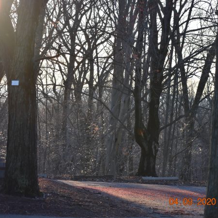 Appreciation and Hope for Manchester in These Times of Uncertainty