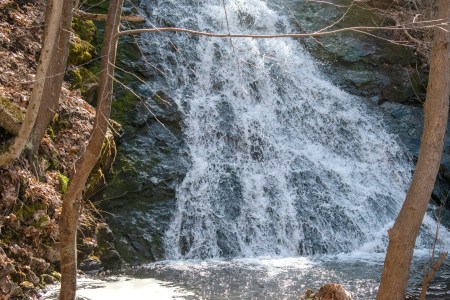 Escaping COVID Hard Times at Wyllys Falls