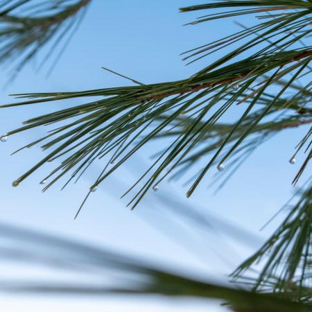 Shop Cyber-Local @ Manch Ester Arts & Crafts