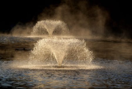 August Calendar is Ready